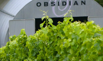 Obsidian Vineyard